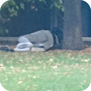 Sticker Kloynada by @EL1T2BIO - 8