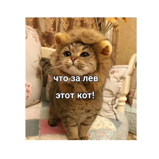 Стикер ENTANIPRO - 1