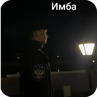 Sticker ENTANIPRO - 2