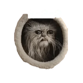 Стикер Schatz 😈 - 1