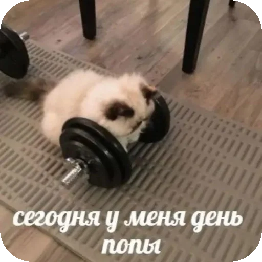 Sticker EbeBeyeh - 1