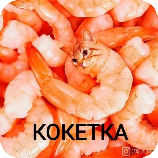 Sticker EbeBeyeh - 1