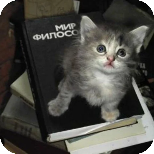 Sticker EbeBeyeh - 1