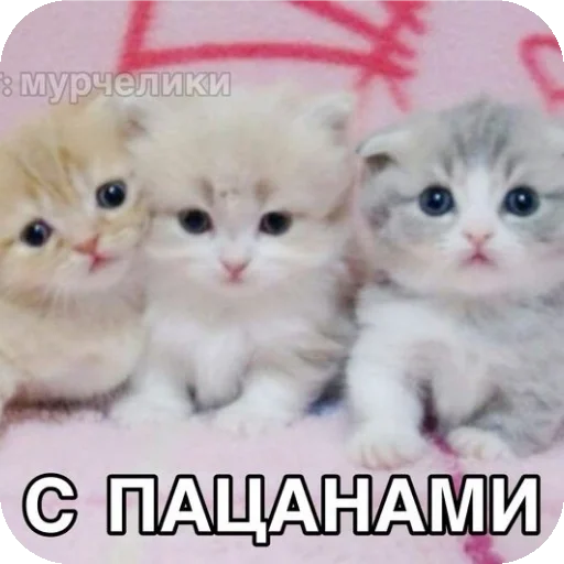 Sticker EbeBeyeh - 1