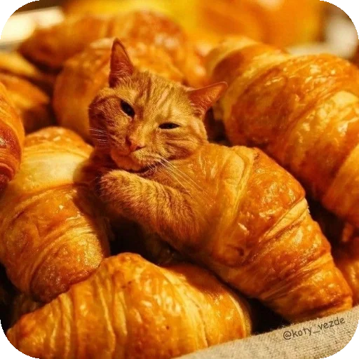 Sticker EbeBeyeh - 1