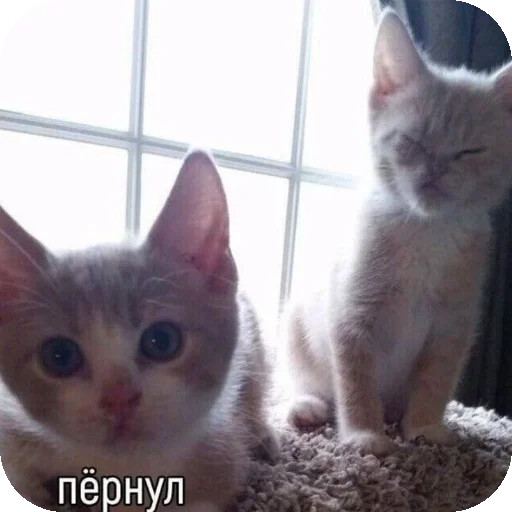 Sticker EbeBeyeh - 1