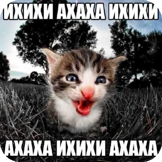 Стикер ебе бе....ыъ...э - 8