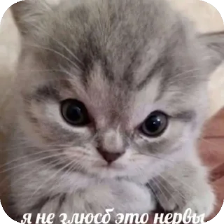 Стикер ебе бе....ыъ...э - 4