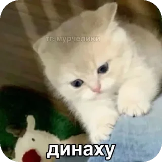 Стикер ебе бе....ыъ...э - 10