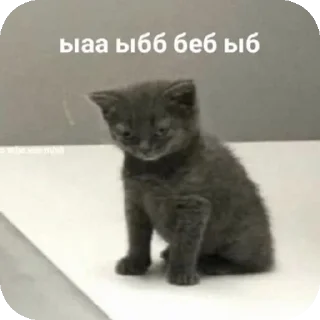 Стикер ебе бе....ыъ...э - 5