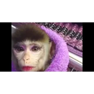 Стикер Ебу вас RCHS - 2