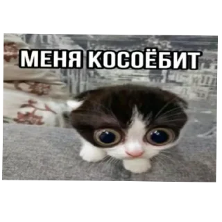 Стикер Ебу вас RCHS - 5