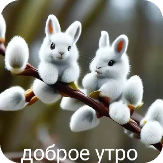 Стикер Ебу вас RCHS - 7