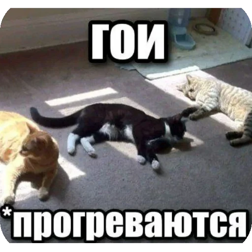 Sticker EbuchiySticker1 - 1