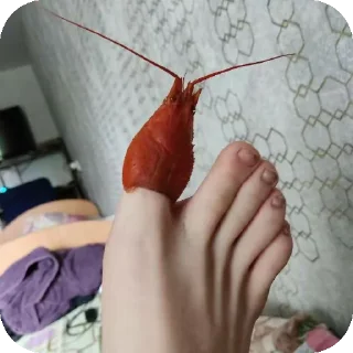 Sticker Ebuchiy sticker - 10