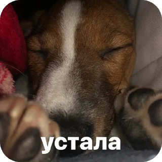 Sticker эмми 228 - 4