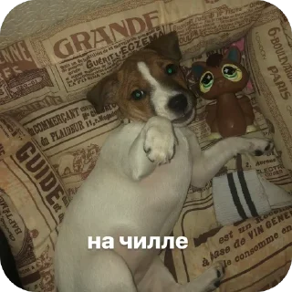 Sticker эмми 228 - 7