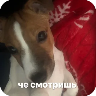 Sticker эмми 228 - 11