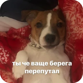 Sticker эмми 228 - 10