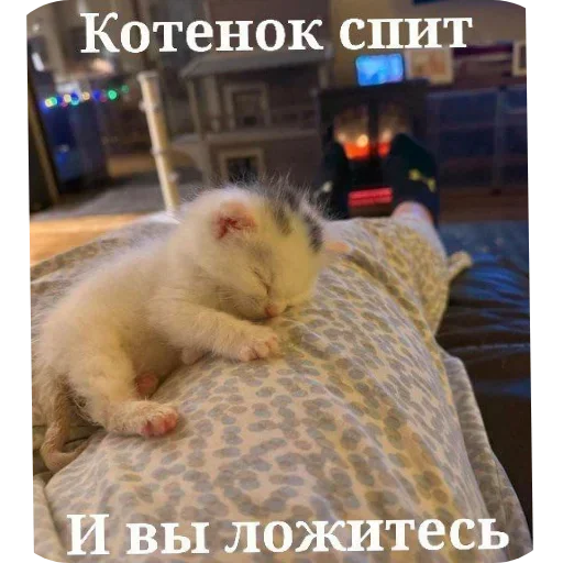 Sticker EklEIGUAkLSBlyCCyZ_by_stickers_stealer_bot - 1