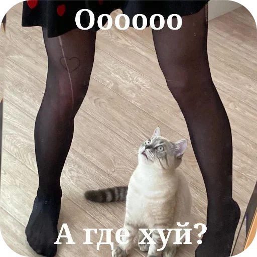 Sticker EklEIGUAkLSBlyCCyZ_by_stickers_stealer_bot - 1