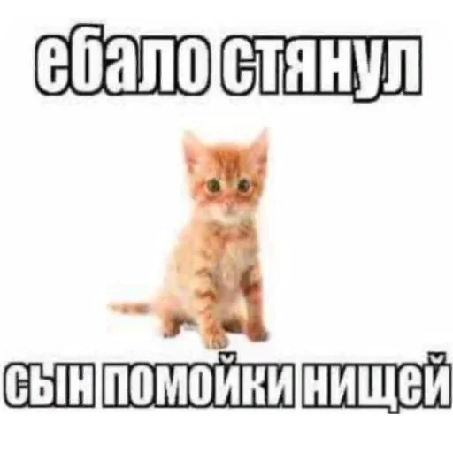 Sticker EklEIGUAkLSBlyCCyZ_by_stickers_stealer_bot - 1