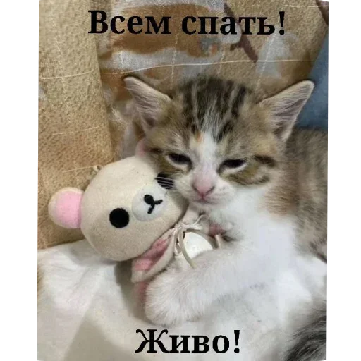 Sticker EklEIGUAkLSBlyCCyZ_by_stickers_stealer_bot - 1