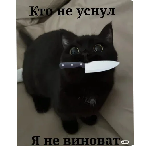 Sticker EklEIGUAkLSBlyCCyZ_by_stickers_stealer_bot - 1