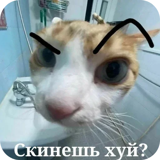 Sticker EklEIGUAkLSBlyCCyZ_by_stickers_stealer_bot - 1