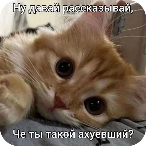 Sticker EklEIGUAkLSBlyCCyZ_by_stickers_stealer_bot - 1