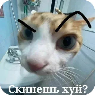 Sticker Больше стикеров 👉🏻 @stickertg4 - 4