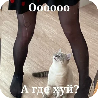 Sticker Больше стикеров 👉🏻 @stickertg4 - 9