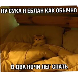 Sticker Больше стикеров 👉🏻 @stickertg4 - 6