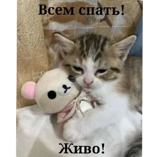 Sticker Больше стикеров 👉🏻 @stickertg4 - 7