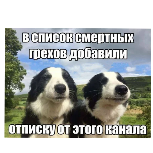 Стикер EtoNado8 - 1