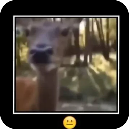 Sticker EtoNado8 - 1