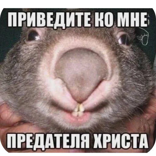 Sticker EtoNado8 - 1