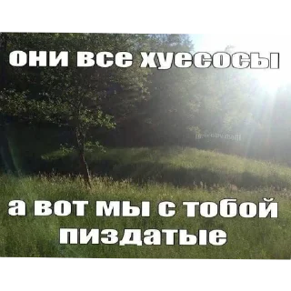 Стикер Eto nado - 2