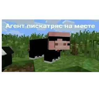 Стикер F1lxv pack - 5