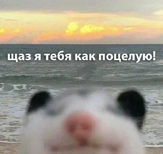 Sticker @stickery - 2