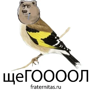 Стикер @FRATRUTH MMXXIV - 6