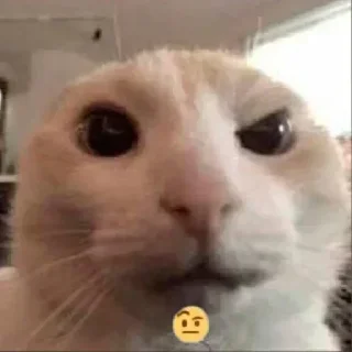 Sticker @sticksbb <— больше стиков💓💘💞 - 2