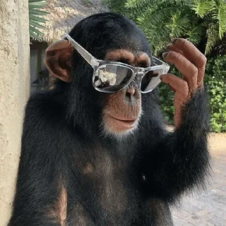 Sticker Азаров сигма Тайлер дердан @psyhopatker @TgEmodziBot - 9