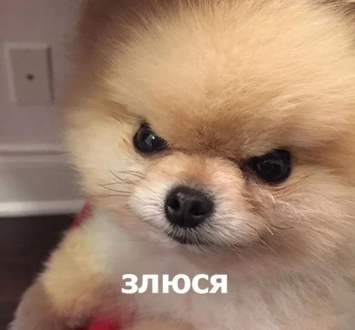 Sticker Favorite379 - 1