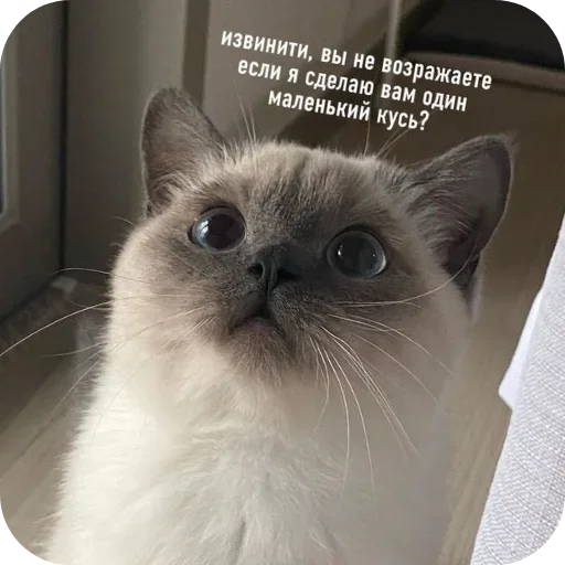 Sticker Favorite379 - 1