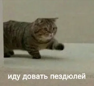 Sticker Favorite - 8