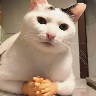 Sticker Favorite - 9