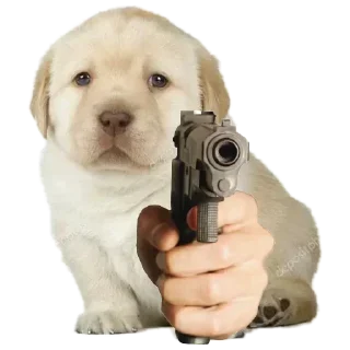 Sticker @stickerry_tg - 6