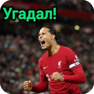 Sticker Football Quiz ❓⚽ - 8