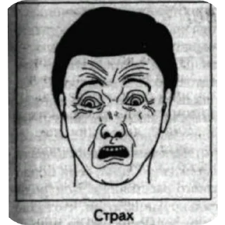 Стикер Пупупуу @SozdaiStickeriBot - 2